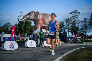 BIB: 
                            <button type="button" onclick="openModal(26541922)" class="btn btn-primary btn-sm float-right btn-popup" data-toggle="modal" data-target=".modal-high-quality">
                        <i class="fas fa-shopping-cart"></i> Add to Cart
                    </button>
                                            <button type="button" onclick="isThisMe(26541922, true)" class="btn btn-success btn-sm float-right btn-popup btn-isme hidden" data-toggle="tooltip" data-placement="bottom" title="นี่คือรูปของคุณใช่ไหม คลิกที่นี่เพื่อเอาเข้าอัลบั้ม">
                        <i class="fas fa-plus"></i> Add to album
                    </button>
                    <button type="button" onclick="isThisMe(26541922, false)" class="btn btn-warning btn-sm float-right btn-popup btn-isnotme hidden">
                        <i class="fas fa-ban"></i> Remove from album
                    </button>